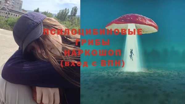 прущая мука Кодинск