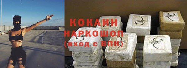 стафф Козельск