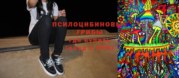 стафф Козельск