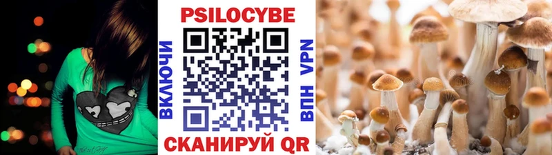 Купить закладки  Алапаевск  Галлюциногенные грибы Magic Shrooms 